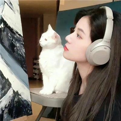 顽童怪盗